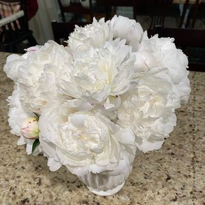 Meet your Posher, Nelia